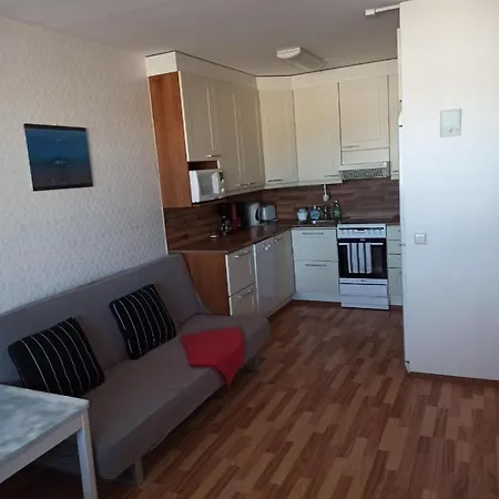 Luxurious Citycenter With Terrace View To The Mountain, Lake And Bridge. . Huoneisto *